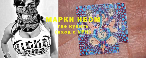 крисы Козельск