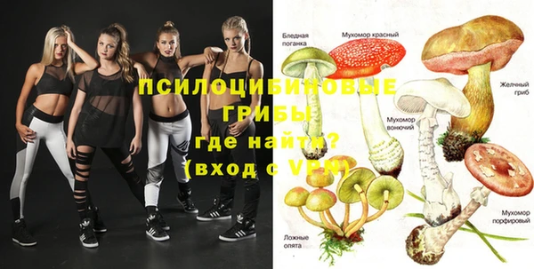 метадон Кодинск