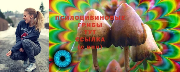 метадон Кодинск