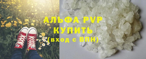 стаф Кинешма
