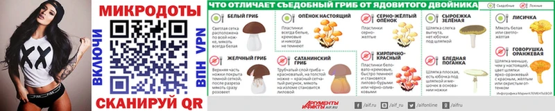 Псилоцибиновые грибы ЛСД  MEGA ССЫЛКА  Кизляр 